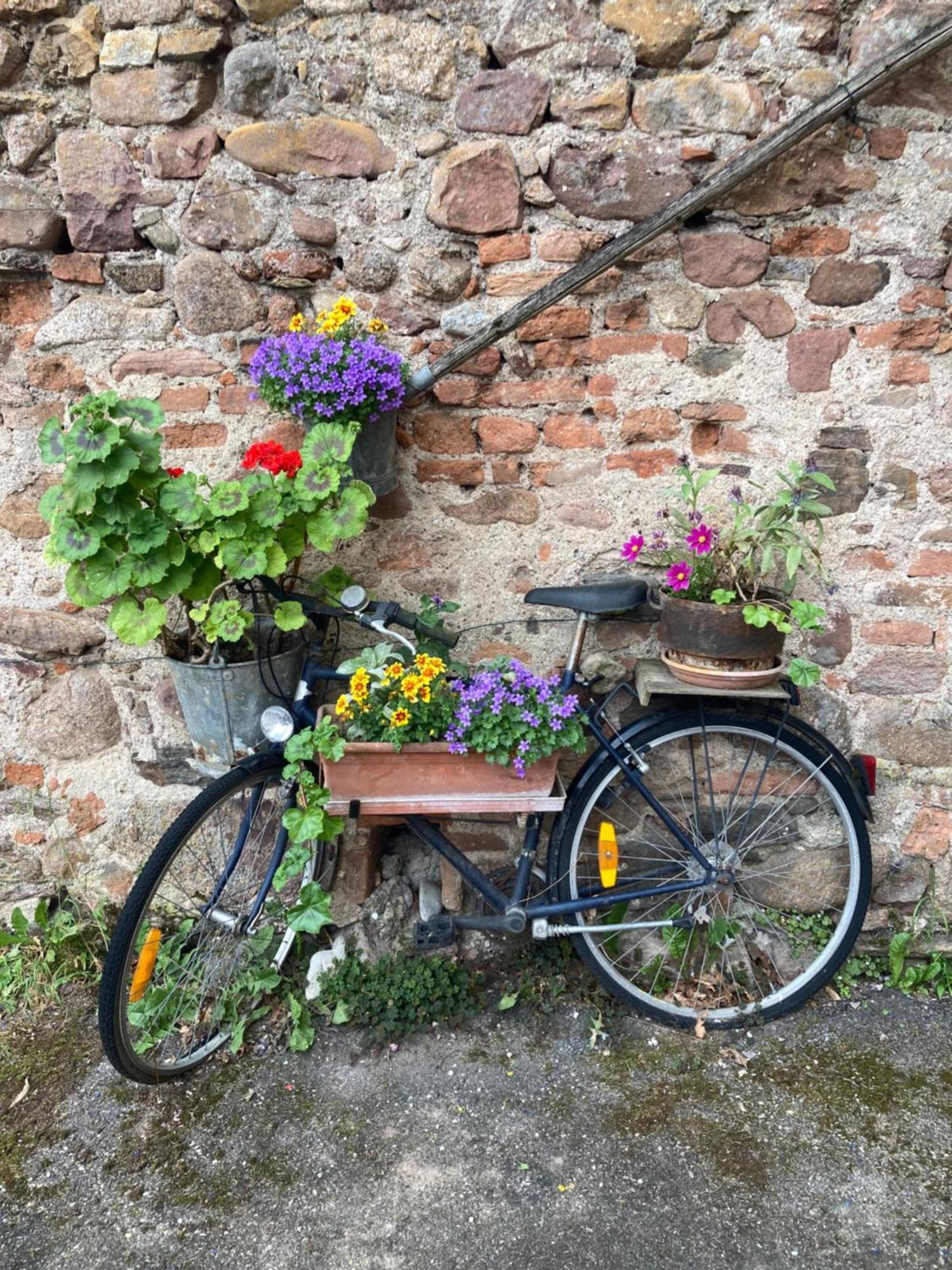 Joli Gite 2 Personnes En Alsace Guémar Exterior foto